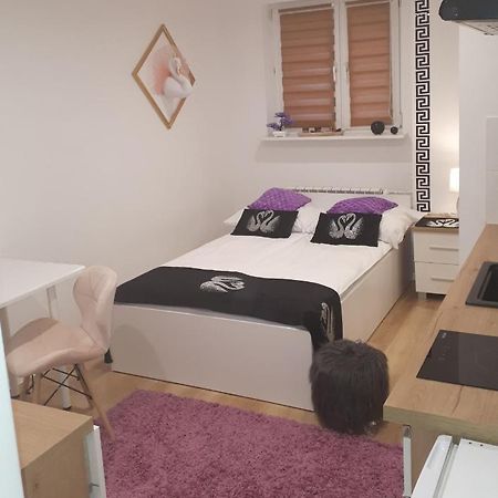 Apartamenty Centrum Panoramiczna Mala Dwojka Swan Labedz Promenada Klimatyzacja Lodowa Kielce Dış mekan fotoğraf