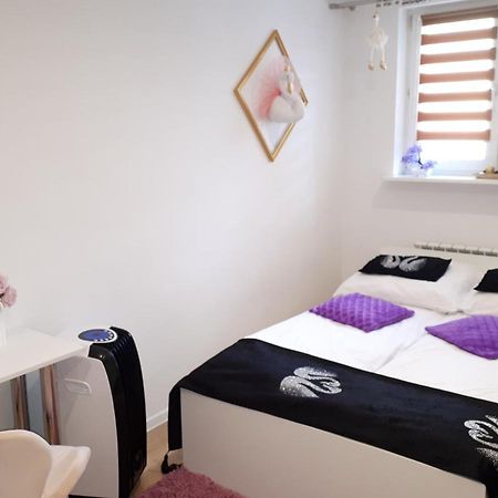 Apartamenty Centrum Panoramiczna Mala Dwojka Swan Labedz Promenada Klimatyzacja Lodowa Kielce Dış mekan fotoğraf