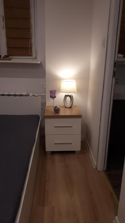 Apartamenty Centrum Panoramiczna Mala Dwojka Swan Labedz Promenada Klimatyzacja Lodowa Kielce Dış mekan fotoğraf