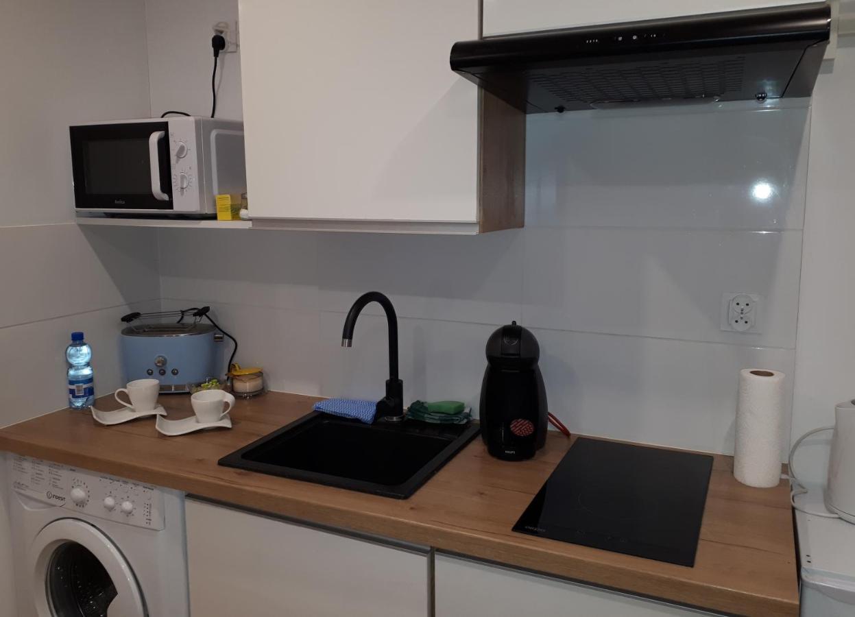 Apartamenty Centrum Panoramiczna Mala Dwojka Swan Labedz Promenada Klimatyzacja Lodowa Kielce Dış mekan fotoğraf