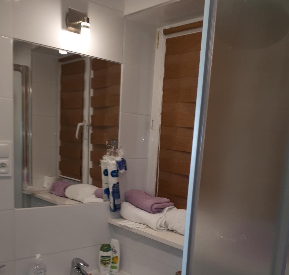 Apartamenty Centrum Panoramiczna Mala Dwojka Swan Labedz Promenada Klimatyzacja Lodowa Kielce Dış mekan fotoğraf