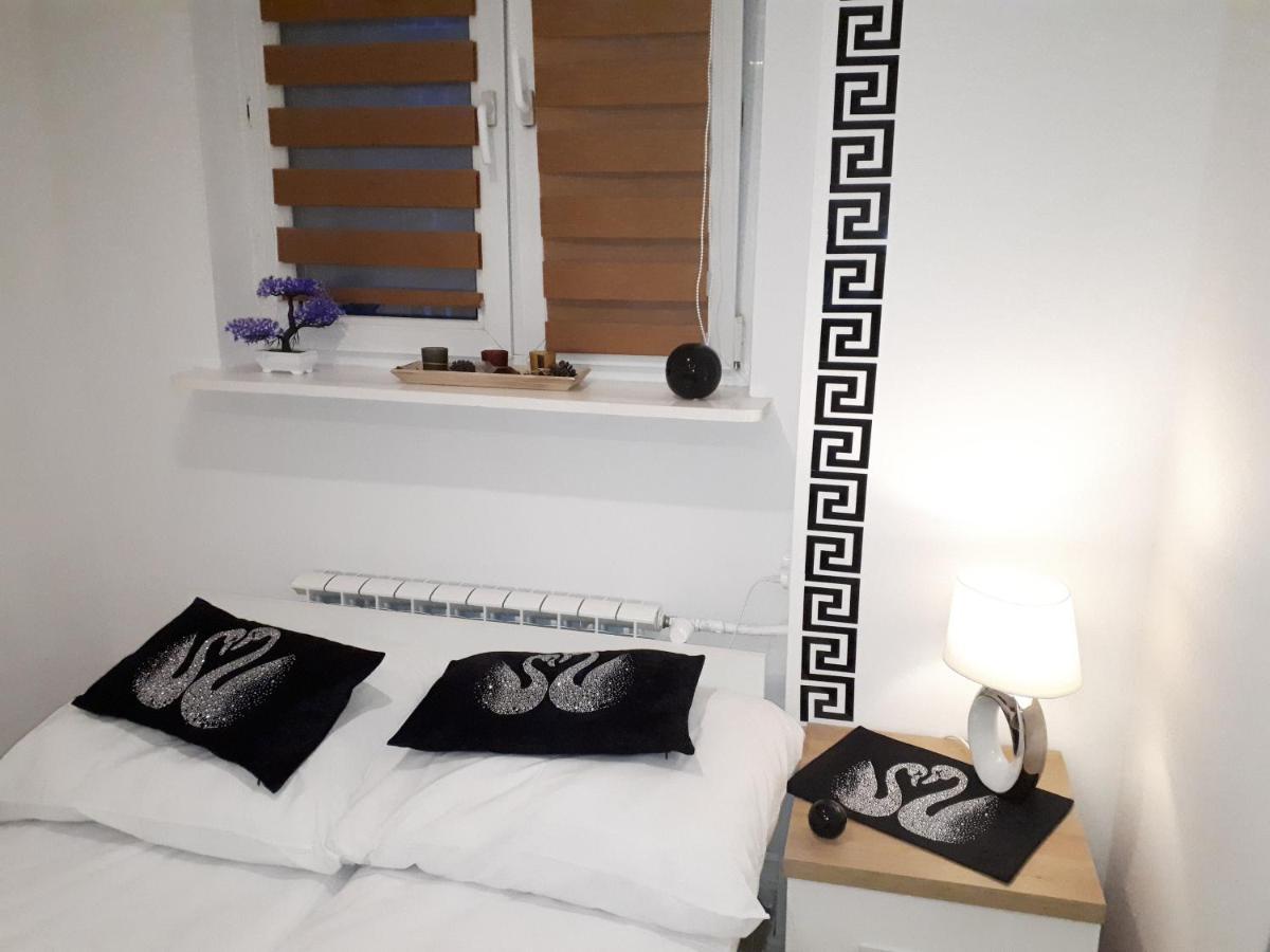 Apartamenty Centrum Panoramiczna Mala Dwojka Swan Labedz Promenada Klimatyzacja Lodowa Kielce Dış mekan fotoğraf