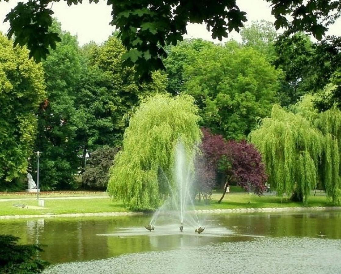 Apartamenty Centrum Panoramiczna Mala Dwojka Swan Labedz Promenada Klimatyzacja Lodowa Kielce Dış mekan fotoğraf