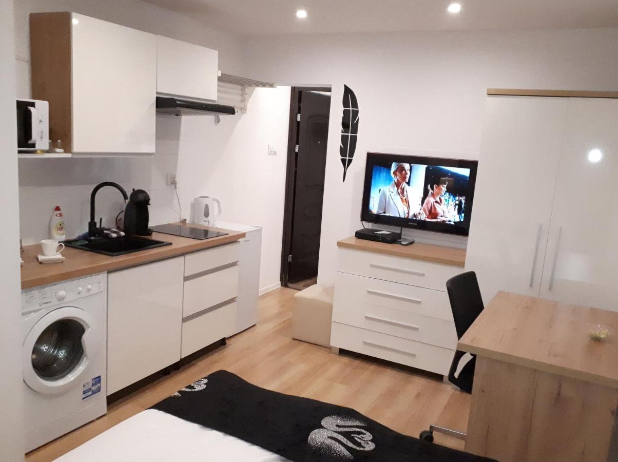 Apartamenty Centrum Panoramiczna Mala Dwojka Swan Labedz Promenada Klimatyzacja Lodowa Kielce Dış mekan fotoğraf