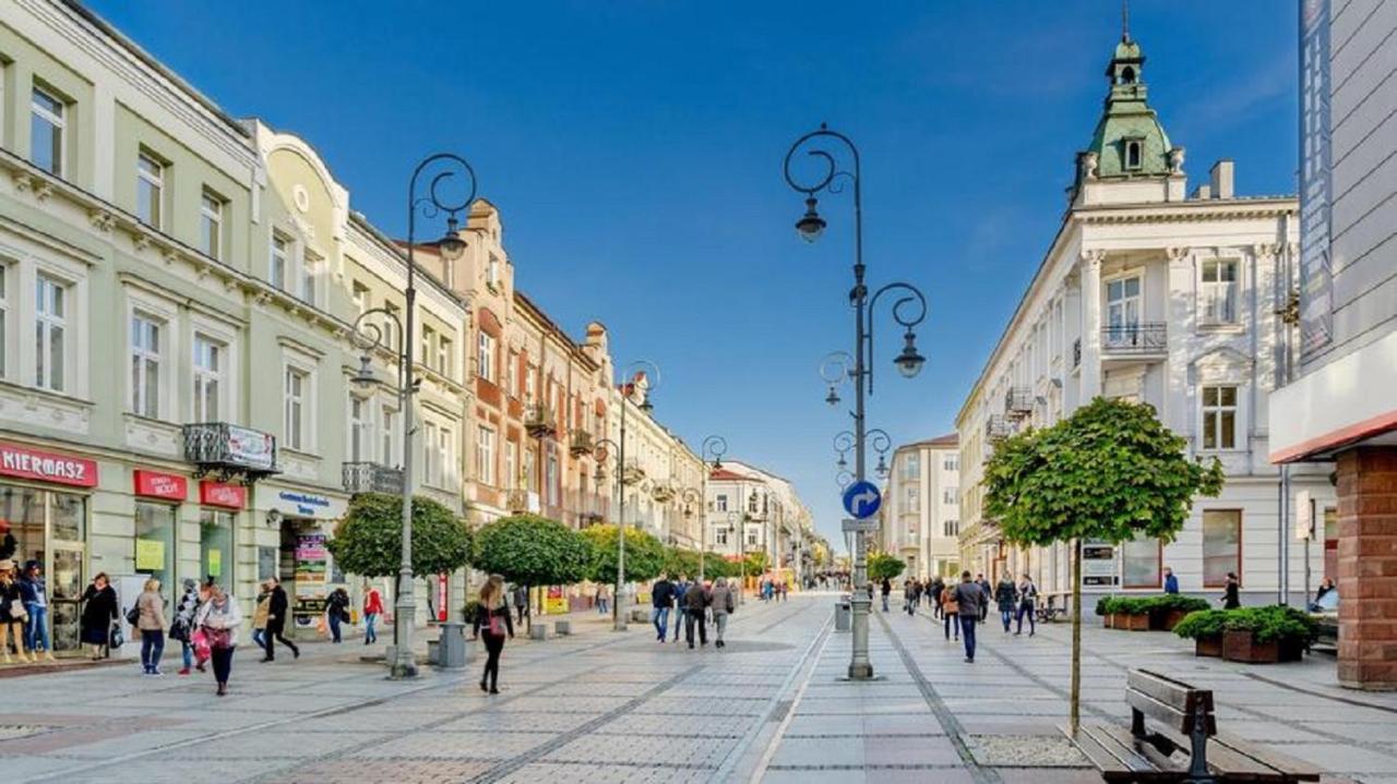 Apartamenty Centrum Panoramiczna Mala Dwojka Swan Labedz Promenada Klimatyzacja Lodowa Kielce Dış mekan fotoğraf