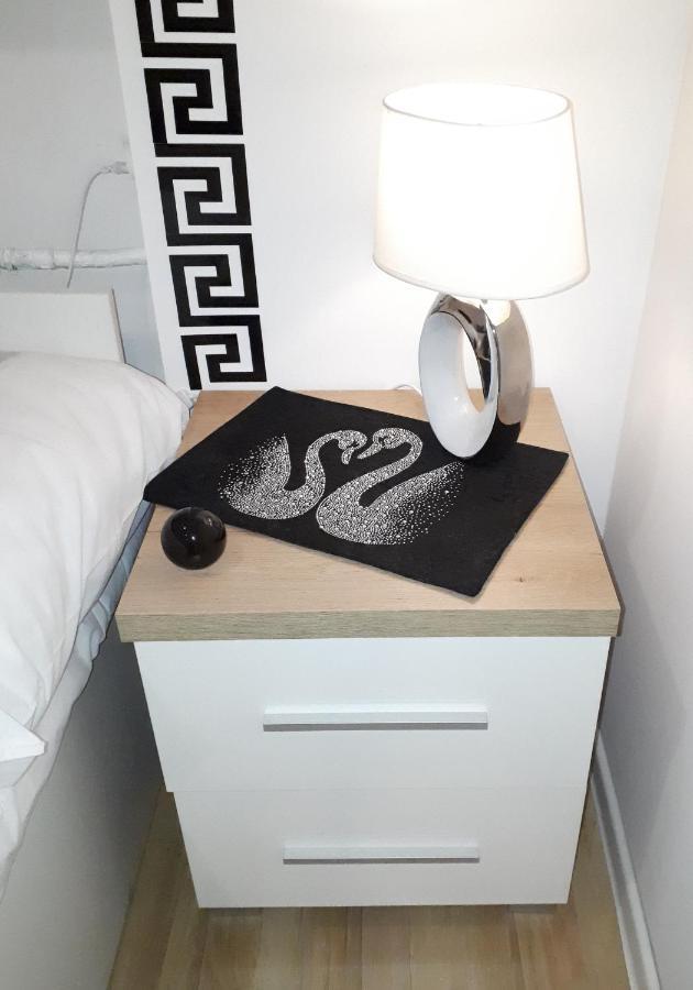 Apartamenty Centrum Panoramiczna Mala Dwojka Swan Labedz Promenada Klimatyzacja Lodowa Kielce Dış mekan fotoğraf