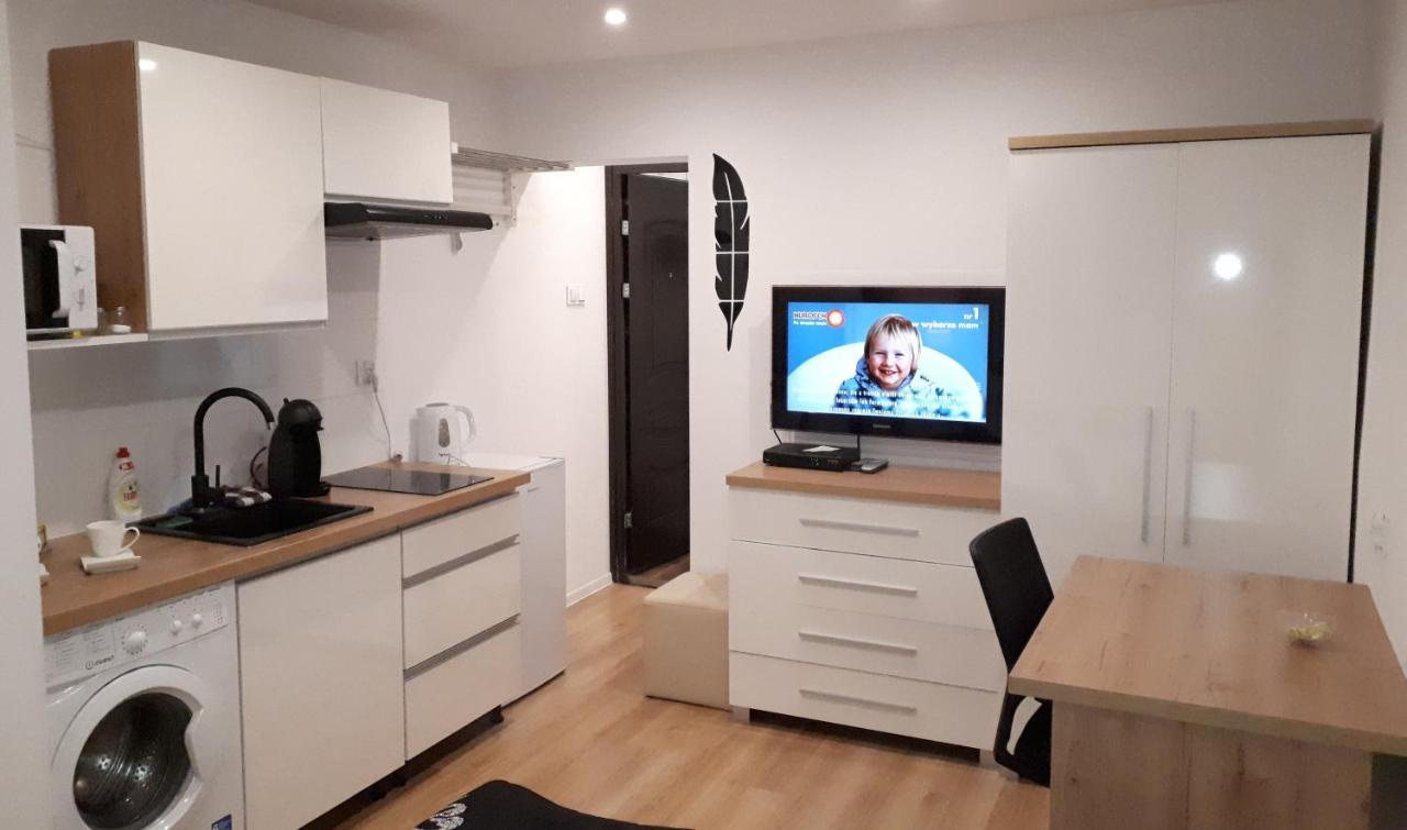Apartamenty Centrum Panoramiczna Mala Dwojka Swan Labedz Promenada Klimatyzacja Lodowa Kielce Dış mekan fotoğraf