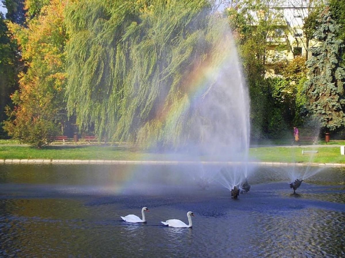 Apartamenty Centrum Panoramiczna Mala Dwojka Swan Labedz Promenada Klimatyzacja Lodowa Kielce Dış mekan fotoğraf