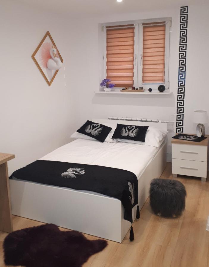 Apartamenty Centrum Panoramiczna Mala Dwojka Swan Labedz Promenada Klimatyzacja Lodowa Kielce Dış mekan fotoğraf