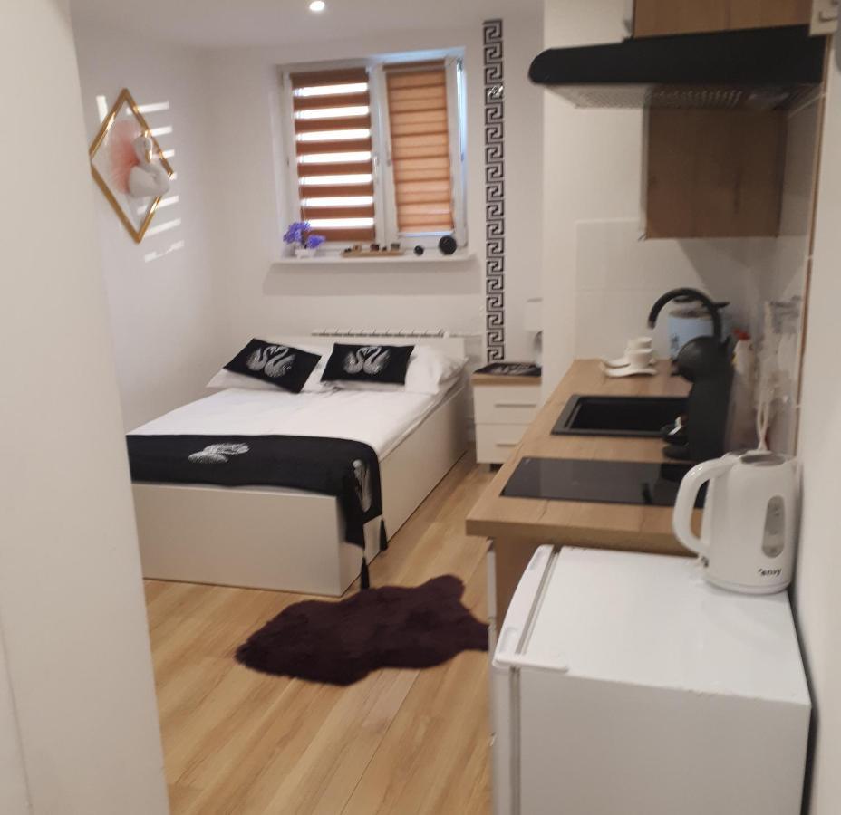 Apartamenty Centrum Panoramiczna Mala Dwojka Swan Labedz Promenada Klimatyzacja Lodowa Kielce Dış mekan fotoğraf