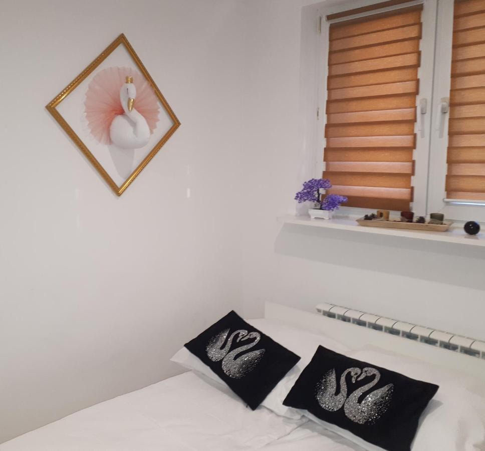 Apartamenty Centrum Panoramiczna Mala Dwojka Swan Labedz Promenada Klimatyzacja Lodowa Kielce Dış mekan fotoğraf