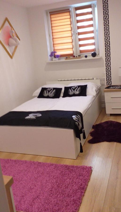 Apartamenty Centrum Panoramiczna Mala Dwojka Swan Labedz Promenada Klimatyzacja Lodowa Kielce Dış mekan fotoğraf