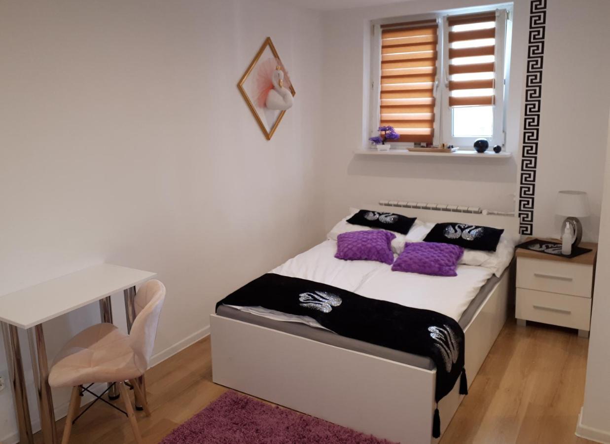 Apartamenty Centrum Panoramiczna Mala Dwojka Swan Labedz Promenada Klimatyzacja Lodowa Kielce Dış mekan fotoğraf