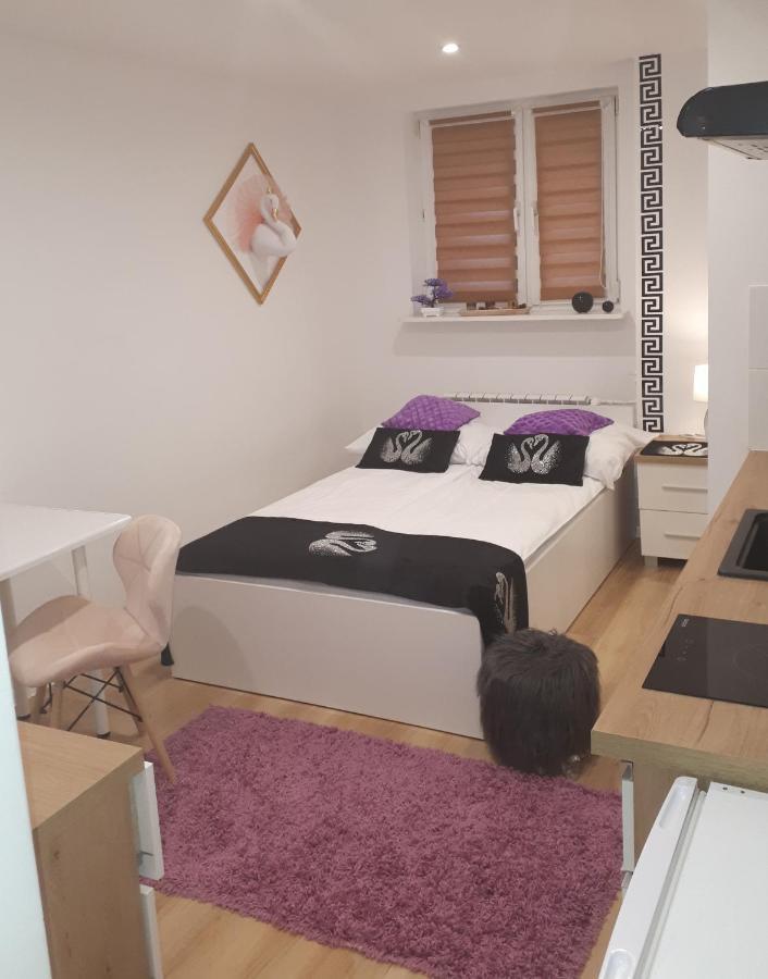 Apartamenty Centrum Panoramiczna Mala Dwojka Swan Labedz Promenada Klimatyzacja Lodowa Kielce Dış mekan fotoğraf