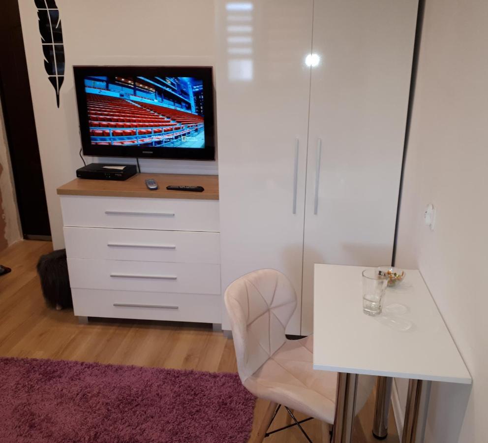 Apartamenty Centrum Panoramiczna Mala Dwojka Swan Labedz Promenada Klimatyzacja Lodowa Kielce Dış mekan fotoğraf