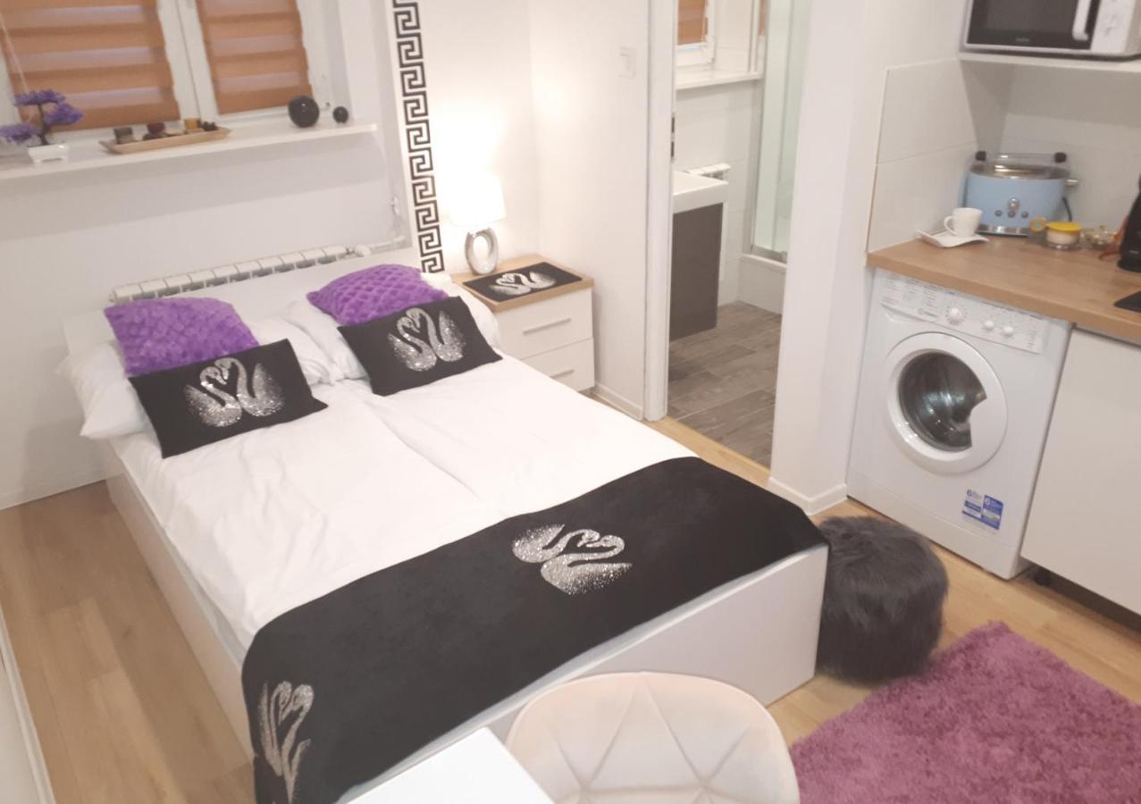 Apartamenty Centrum Panoramiczna Mala Dwojka Swan Labedz Promenada Klimatyzacja Lodowa Kielce Dış mekan fotoğraf