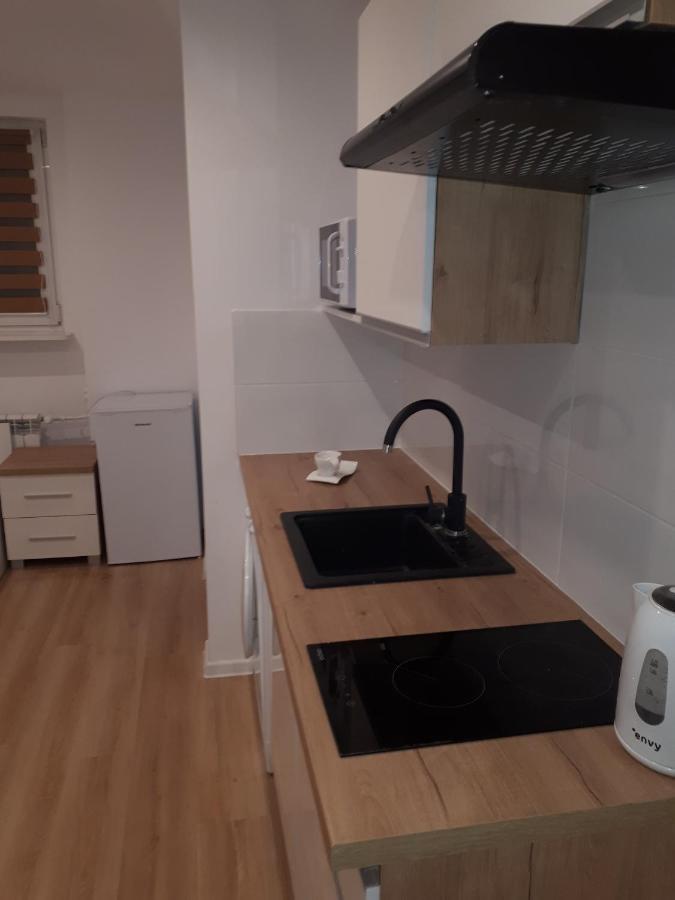 Apartamenty Centrum Panoramiczna Mala Dwojka Swan Labedz Promenada Klimatyzacja Lodowa Kielce Dış mekan fotoğraf